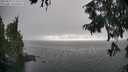 ./images/koeye/fitz-hugh/20250827/fitz-hugh20250827_172510M.jpg