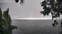 ./images/koeye/fitz-hugh/20250827/fitz-hugh20250827_173012M.jpg