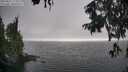 ./images/koeye/fitz-hugh/20250827/fitz-hugh20250827_173509M.jpg