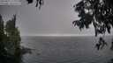 ./images/koeye/fitz-hugh/20250827/fitz-hugh20250827_174009M.jpg