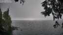 ./images/koeye/fitz-hugh/20250827/fitz-hugh20250827_174511M.jpg