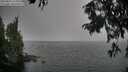 ./images/koeye/fitz-hugh/20250827/fitz-hugh20250827_175011M.jpg