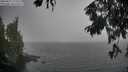 ./images/koeye/fitz-hugh/20250827/fitz-hugh20250827_175510M.jpg