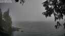 ./images/koeye/fitz-hugh/20250827/fitz-hugh20250827_181008M.jpg