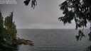 ./images/koeye/fitz-hugh/20250827/fitz-hugh20250827_184509M.jpg