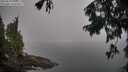 ./images/koeye/fitz-hugh/20250828/fitz-hugh20250828_095510M.jpg