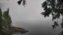 ./images/koeye/fitz-hugh/20250828/fitz-hugh20250828_100509M.jpg