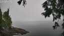 ./images/koeye/fitz-hugh/20250828/fitz-hugh20250828_102008M.jpg