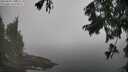 ./images/koeye/fitz-hugh/20250828/fitz-hugh20250828_105510M.jpg