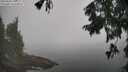 ./images/koeye/fitz-hugh/20250828/fitz-hugh20250828_110012M.jpg