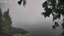 ./images/koeye/fitz-hugh/20250828/fitz-hugh20250828_110510M.jpg