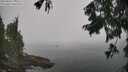 ./images/koeye/fitz-hugh/20250828/fitz-hugh20250828_113510M.jpg