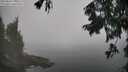 ./images/koeye/fitz-hugh/20250828/fitz-hugh20250828_120510M.jpg