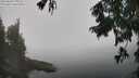 ./images/koeye/fitz-hugh/20250828/fitz-hugh20250828_124511M.jpg