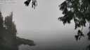 ./images/koeye/fitz-hugh/20250828/fitz-hugh20250828_131510M.jpg
