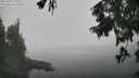 ./images/koeye/fitz-hugh/20250828/fitz-hugh20250828_132510M.jpg