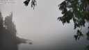 ./images/koeye/fitz-hugh/20250828/fitz-hugh20250828_142510M.jpg