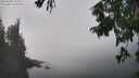 ./images/koeye/fitz-hugh/20250828/fitz-hugh20250828_143510M.jpg