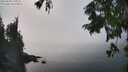 ./images/koeye/fitz-hugh/20250828/fitz-hugh20250828_144011M.jpg