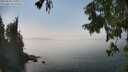 ./images/koeye/fitz-hugh/20250828/fitz-hugh20250828_145510M.jpg