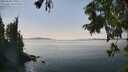 ./images/koeye/fitz-hugh/20250828/fitz-hugh20250828_150510M.jpg