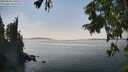 ./images/koeye/fitz-hugh/20250828/fitz-hugh20250828_151011M.jpg