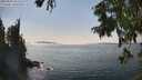 ./images/koeye/fitz-hugh/20250828/fitz-hugh20250828_152012M.jpg