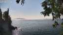 ./images/koeye/fitz-hugh/20250828/fitz-hugh20250828_152508M.jpg