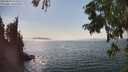 ./images/koeye/fitz-hugh/20250828/fitz-hugh20250828_153510M.jpg