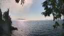 ./images/koeye/fitz-hugh/20250828/fitz-hugh20250828_160012M.jpg