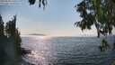 ./images/koeye/fitz-hugh/20250828/fitz-hugh20250828_160510M.jpg