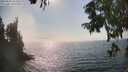 ./images/koeye/fitz-hugh/20250828/fitz-hugh20250828_161511M.jpg