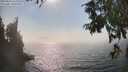 ./images/koeye/fitz-hugh/20250828/fitz-hugh20250828_162009M.jpg