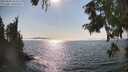 ./images/koeye/fitz-hugh/20250828/fitz-hugh20250828_163511M.jpg