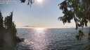 ./images/koeye/fitz-hugh/20250828/fitz-hugh20250828_164011M.jpg