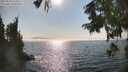 ./images/koeye/fitz-hugh/20250828/fitz-hugh20250828_164510M.jpg
