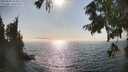 ./images/koeye/fitz-hugh/20250828/fitz-hugh20250828_165010M.jpg