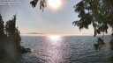 ./images/koeye/fitz-hugh/20250828/fitz-hugh20250828_170012M.jpg