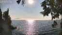./images/koeye/fitz-hugh/20250828/fitz-hugh20250828_170509M.jpg
