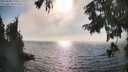 ./images/koeye/fitz-hugh/20250828/fitz-hugh20250828_171011M.jpg