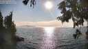 ./images/koeye/fitz-hugh/20250828/fitz-hugh20250828_173510M.jpg