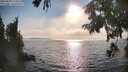 ./images/koeye/fitz-hugh/20250828/fitz-hugh20250828_174511M.jpg