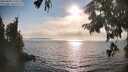./images/koeye/fitz-hugh/20250828/fitz-hugh20250828_175010M.jpg