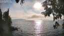 ./images/koeye/fitz-hugh/20250828/fitz-hugh20250828_175510M.jpg
