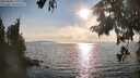./images/koeye/fitz-hugh/20250828/fitz-hugh20250828_180013M.jpg