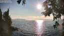 ./images/koeye/fitz-hugh/20250828/fitz-hugh20250828_180510M.jpg