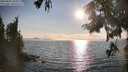 ./images/koeye/fitz-hugh/20250828/fitz-hugh20250828_181011M.jpg