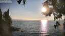 ./images/koeye/fitz-hugh/20250828/fitz-hugh20250828_183510M.jpg