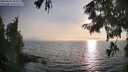./images/koeye/fitz-hugh/20250828/fitz-hugh20250828_185510M.jpg
