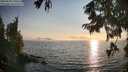 ./images/koeye/fitz-hugh/20250828/fitz-hugh20250828_190508M.jpg